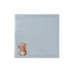 Ein 20er Pack Servietten The Acrobat Squirrel von Wrendale 25x25cm.