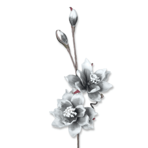 Schwarz-weiße Blumenillustration mit Knospen auf weißem Hintergrund.