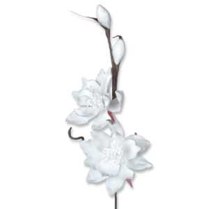 Weiße Blüten auf Zweigen, elegantes Design.